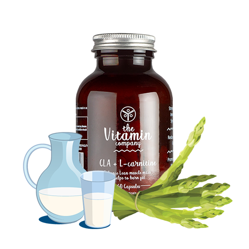 CLA + L-carnitine for Fat Burning & Enhance Lean Muscle Mass CLA + L-carnitine for Fat Burning & Enhance Lean Muscle Mass