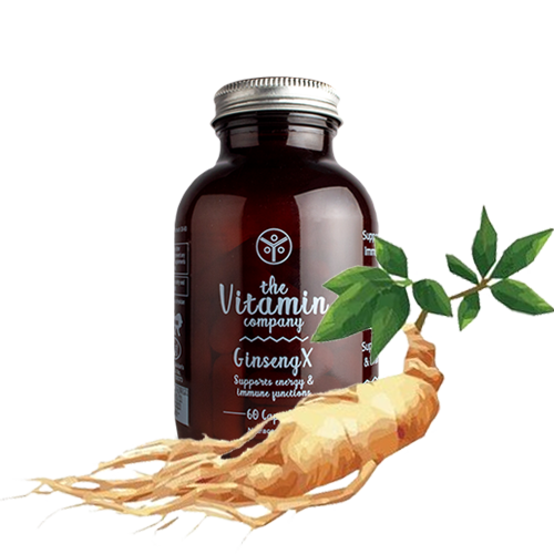 Triple root ginseng